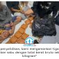 Ditresnarkoba Polda Kaltim menggagalkan peredaran sabu seberat 12,61 kilogram di Samarinda, Sabtu (10/10/2026) dini hari. Dalam pengungkapan tersebut, polisi mengamankan tiga pria yang diduga terlibat.