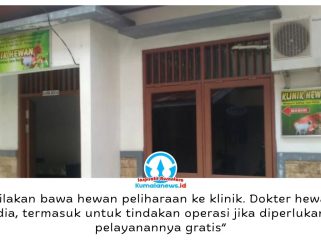 Distanak Kukar menyediakan layanan klinik kesehatan hewan gratis bagi masyarakat, mulai dari pemeriksaan, vaksinasi, hingga tindakan medis sesuai kebutuhan dan hasil pemeriksaan dokter hewan. Foto: Indirwan.