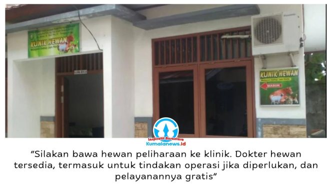 
 Distanak Kukar menyediakan layanan klinik kesehatan hewan gratis bagi masyarakat, mulai dari pemeriksaan, vaksinasi, hingga tindakan medis sesuai kebutuhan dan hasil pemeriksaan dokter hewan. Foto: Indirwan.